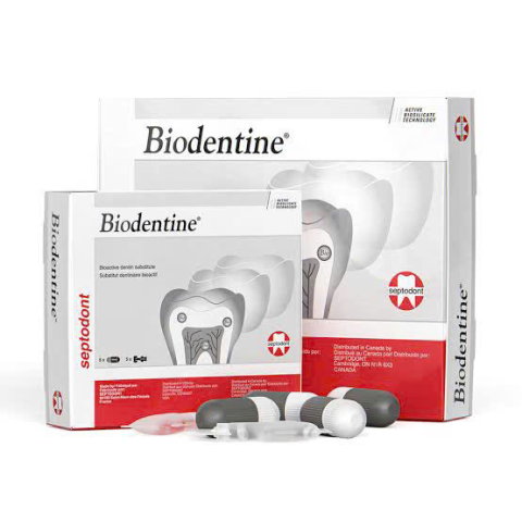 VẬT LIỆU TRÁM BÍT SINH HỌC BIODENTINE