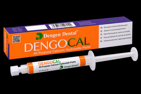 Calcium hydroxide tuýp trộn sẵn - Dengocal